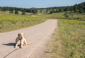 Walking in Wildlife Area.