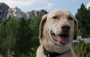 Don't you think I'd look good up there?