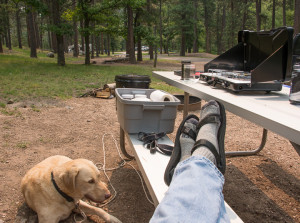 Camping in Custer State Park.
