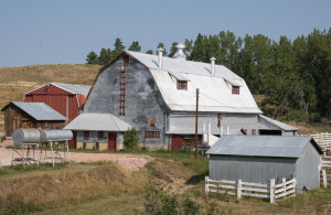 Spring Creek Ranch Barn.