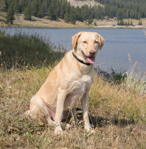 Me at Meadowlark Lake.