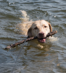 Me swimming in Meadowlark Lake!!!