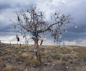 Tree along the highway in Nevada.